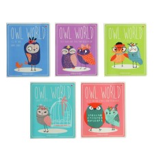 Notebook of 48 sheets in the Cute Owls cage, covered cardboard, matte lamination Soft Touch, mix