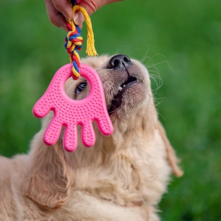 Chewing toy with rope for dogs "palm", 10 cm, pink-4