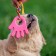 Chewing toy with rope for dogs "palm", 10 cm, pink