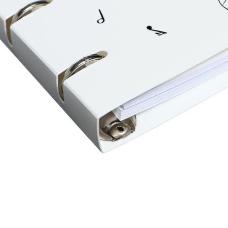 Notebook on rings, 80 sheets in the line "Littleman", plastic cover, replaced block 70 g/m2-2