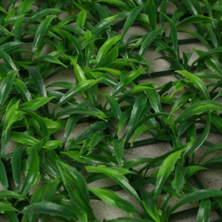 Декоративная панель, 60 × 40 см, «Трава», Greengo-13