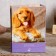 Photo album in 100 photos "Animals" 10x15 cm