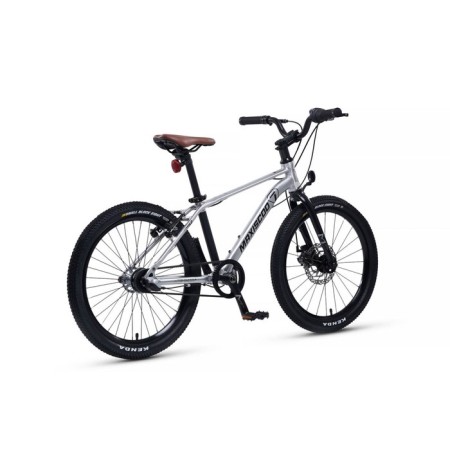 Bicycle 20 ’’ maxiscoo 7bike M700, silver color-3