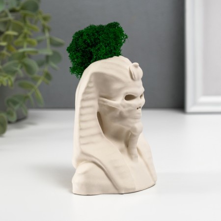 Concrete Kashpo "Pharaoh Skeleton" with moss 10x8.5 cm white (moss green stabilized)-1