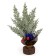New Year's composition "Christmas tree with balls" 25 × 27 × 32 cm