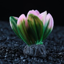 The artificial aquarium plant is small, 5 cm