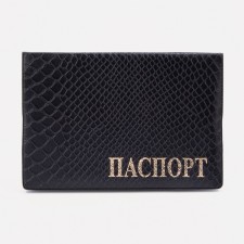 Cover for passport, black color