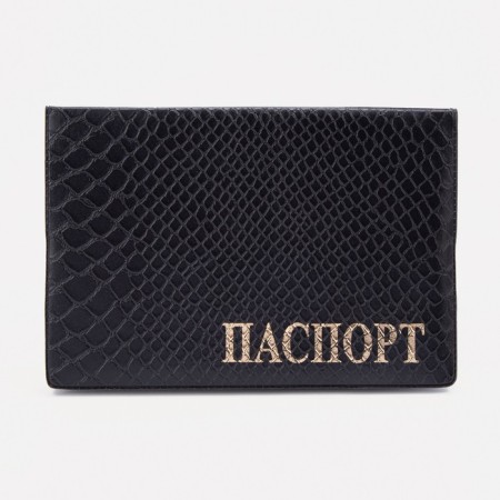 Cover for passport, black color