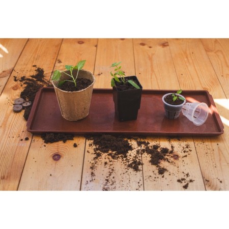 Mattle for seedlings, 48 ​​× 14 × 2 cm, color mix-5