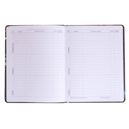 Universal diary for grade 1-11 Born for Speed, solid cover, artificial leather, foam rubber, liesse, 80 g/m2-6