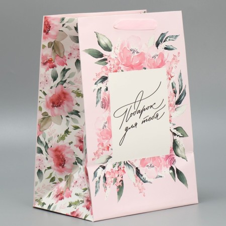 Laminated "Gift" package, 20 × 30 × 16 cm-2