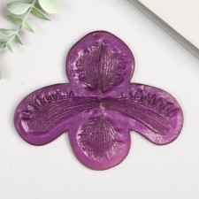 Acrylic Mold 
