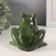 Souvenir Ceramics "Facing Frog" 12x12x10.5 cm
