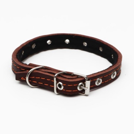 Leather collar on synthetic winterizer, dimensionless, 37 x 1.5 cm, Osh 21-31 cm, brown-1