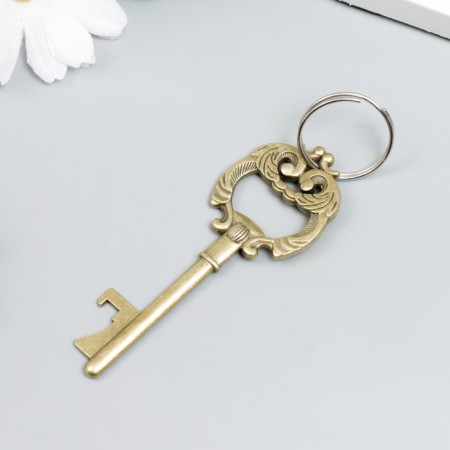 Metal keychain "Key with lush leaves" mix 8x3 cm-1