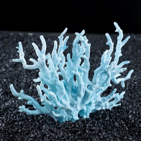 Coral Plastic Small 17 x 6 x 13 cm, blue-1