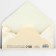 Money envelope "Happy Wedding", flowers, embossing, 16.5 x 8 cm