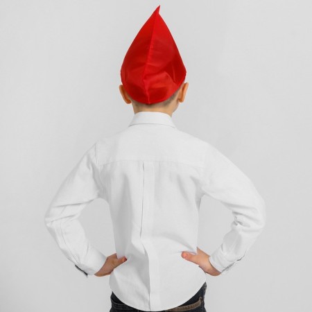 Pilot Pioneer, red-1