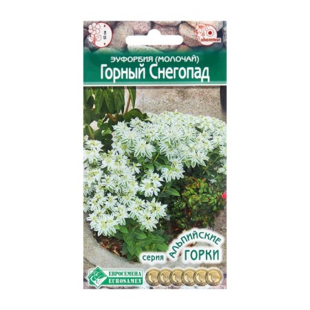 EUFORBY SECTIONS WILL YOUR ELECTION OF THE RUSSIAN "Mountain Snowfall", 10 pcs