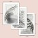 A set of interior posters (posters) 30x40 cm, 3 pcs, 250 g/m2, 6-009,