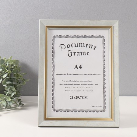 Photo frame Plastic A4 "Violett" light gray with a gold stripe 1.5x25.4x34 cm