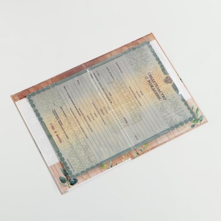 Folder for birth certificate "Misha", A5-3