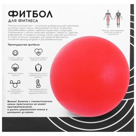 Fitball ONLYTOP, D = 65 cm, 900 g, anti -wings, color gray-4