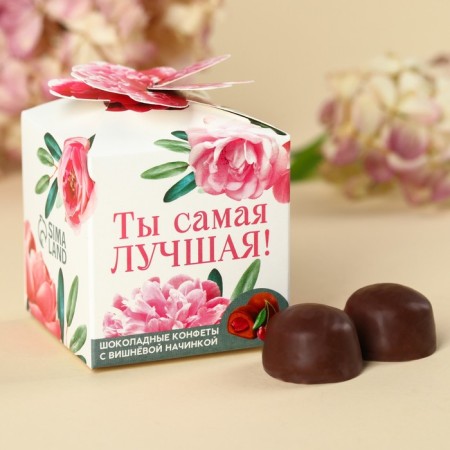 Chocolate sweets “You are the best”, taste: Cherry, 60 g.