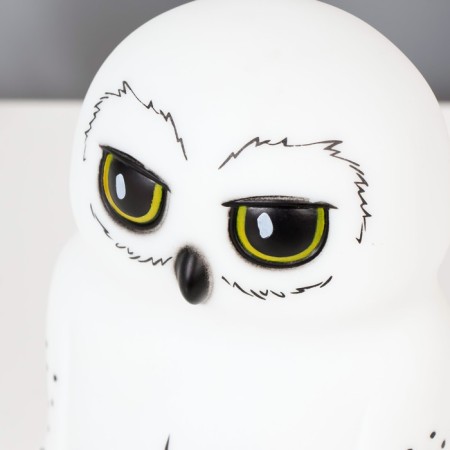 Night Owls LED from white batteries 10.5x15.5x18 cm Risalux-5