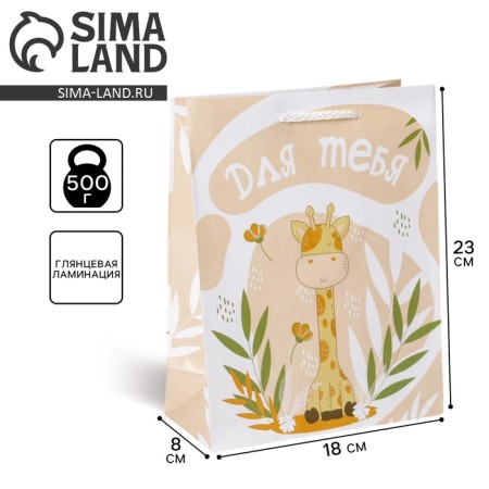 Gift package laminated, packaging, “Congratulations to you”, MS 18 x 23 x 8 cm