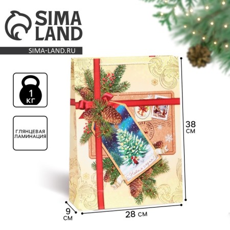 Laminated vertical package “Happy New Year!”, L 28 x 38 x 9 cm, New Year