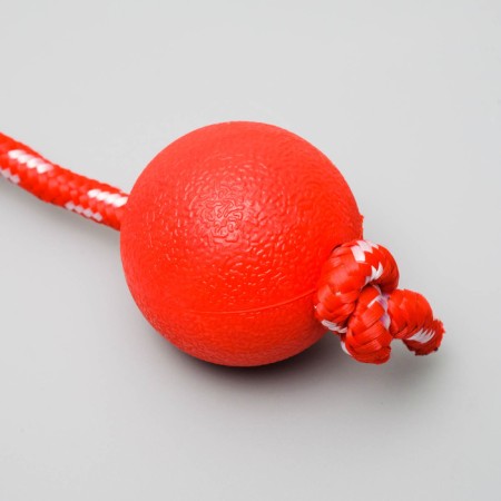 Toy "Ball on the rope", 5.5 cm, rubber, mix of flowers-1