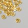 Buttons Plastic 4 PROVEL "GOLD" 0.9x0.9 cm set 40 pcs