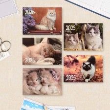 Pocket calendar 