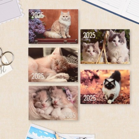 Pocket calendar "Cats" 2025, 7 x 10 cm