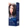 Persistent hair cream Estel Love ash-cornflower