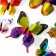 Magnet Plastic "Summer butterflies" set of 12 pcs Mix h = 4.4.5,6,8,9,5,13,5,14.5 cm