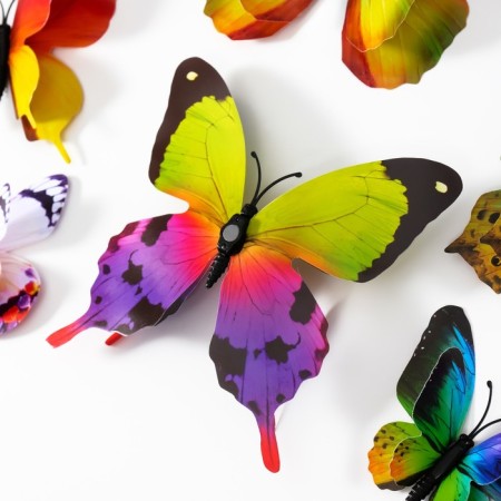 Magnet Plastic "Summer butterflies" set of 12 pcs Mix h = 4.4.5,6,8,9,5,13,5,14.5 cm-3