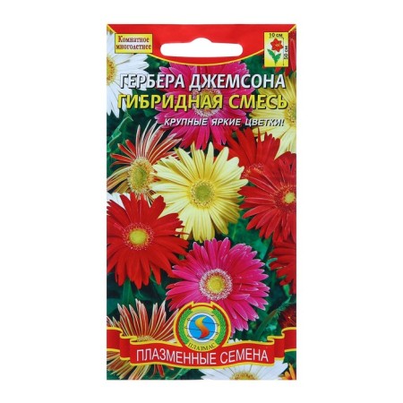 Herbera Jameson seeds "Hybrid mix", 10 pcs