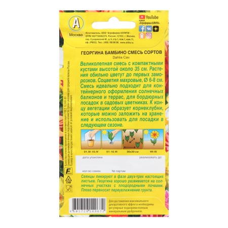 Georgina Terry Bambino, a mixture of varieties 7 pcs ----1
