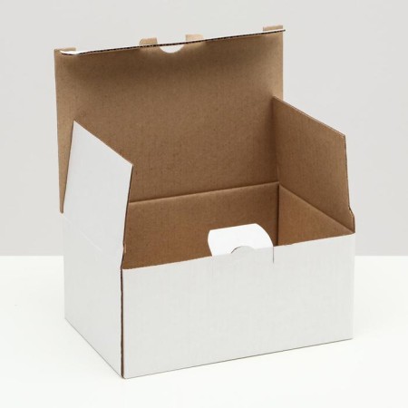 Penal box, white, 22 x 15 x 10 cm-1