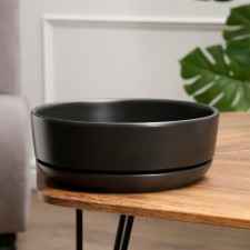 Pot of the Bonsian 