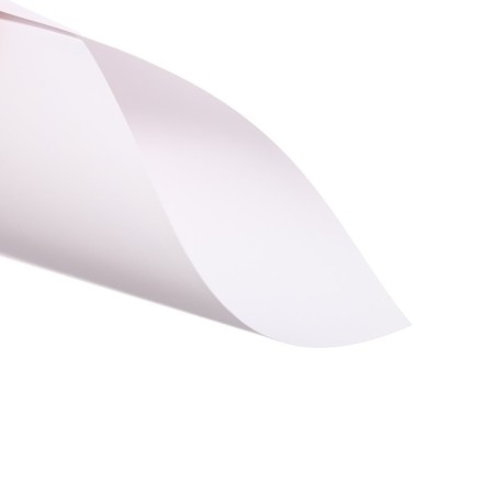 White cardboard A4, 20 sheets, coated one -sided, 170 g/m2, Erichkrause, in the folder, crafts of crafts-3