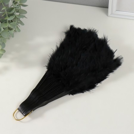 Fan plastic, feather "black" h = 26 cm 25 blades 3x50x26 cm-2