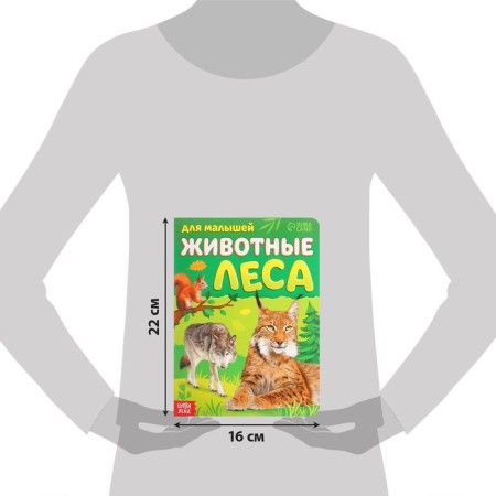 Books Cardboard set "For kids" No. 1, 4 pcs., 10 pp., Mix-2