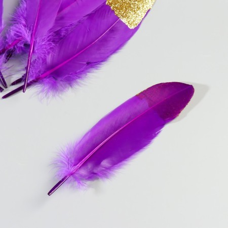 A set of goose feathers 15-20 cm, 10 pcs, purple with golden crumb-3
