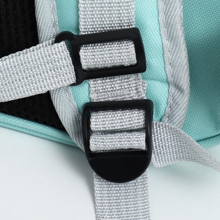 A backpack for carrying animals with a viewing window, green-12