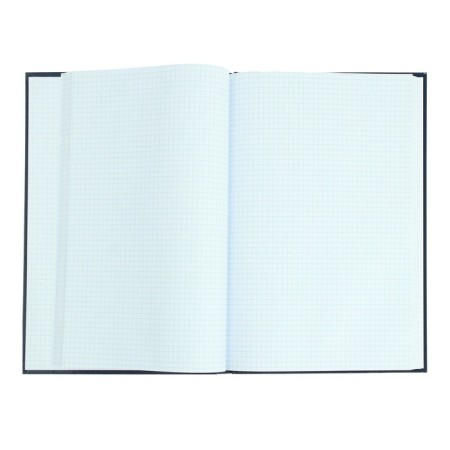Book of accounting 200 x 275 mm, 196 sheets in the cage "Blue", solid cover, glossy lamination, offset block-2