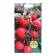 Seed Tomat "Alice Craig", 5 pcs