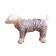 Demicinezone Demisonon on OSSO fur, Kobel, 22, mix of flowers